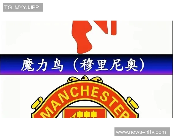 魔力鸟的足球传奇之路与战术智慧的深度解析